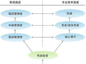 東莞市優(yōu)點(diǎn)網(wǎng)絡(luò)科技 以員工發(fā)展驅(qū)動(dòng)網(wǎng)絡(luò)技術(shù)開(kāi)發(fā)創(chuàng)新